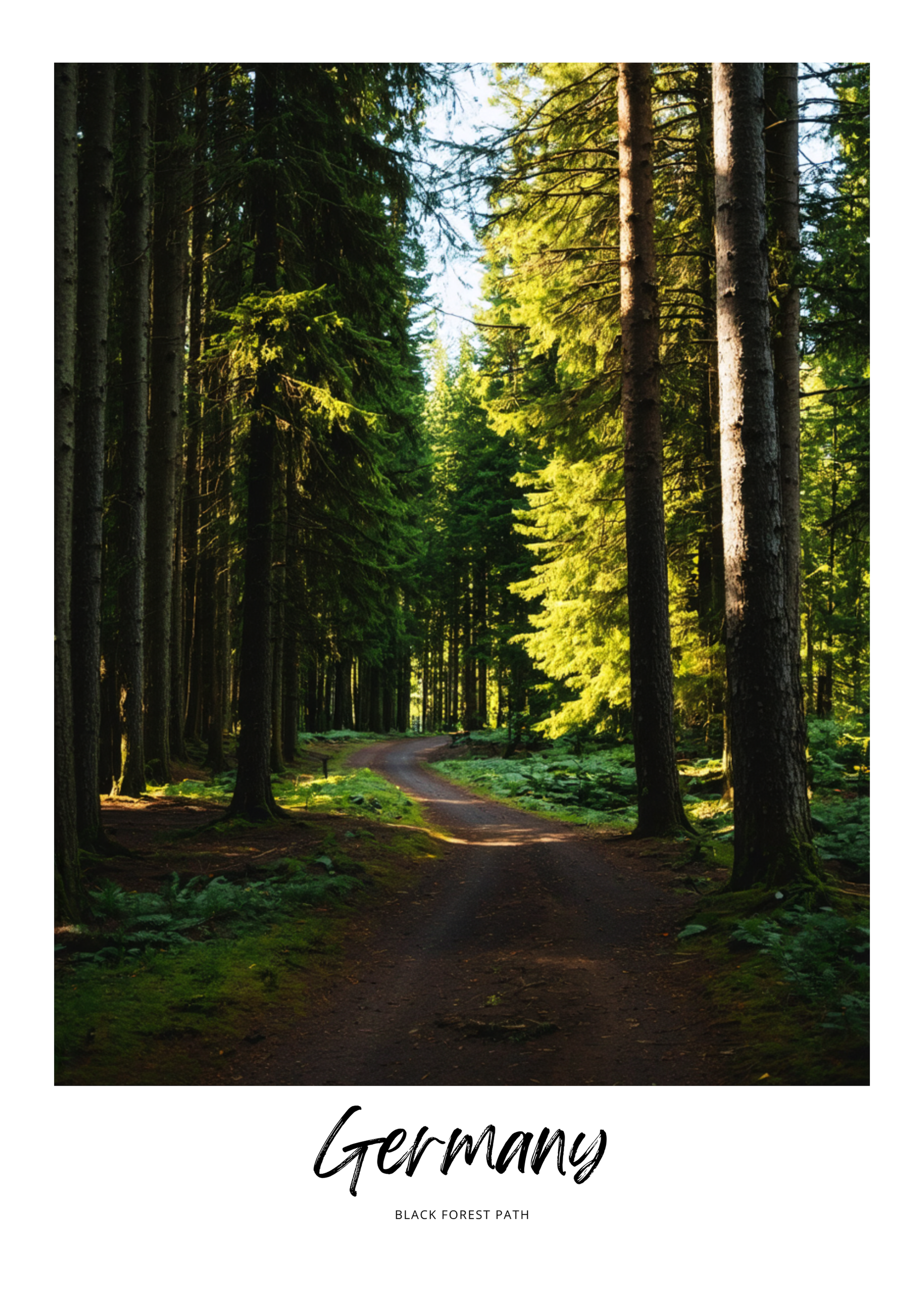 Winding path through a forest with 'Germany' and 'Black Forest Path' text.