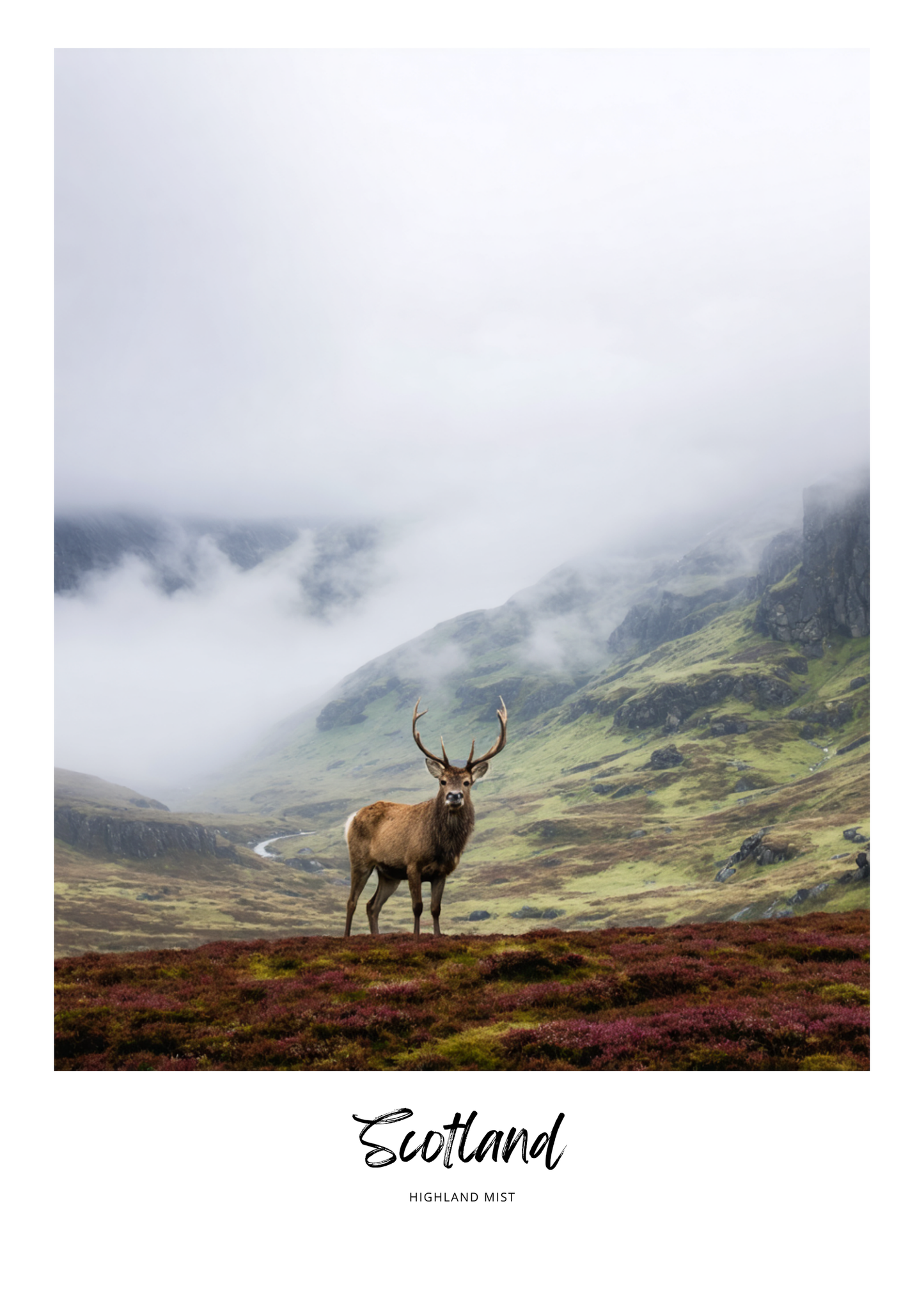 Stag in a misty Highland landscape with 'Scotland' text at the bottom.
