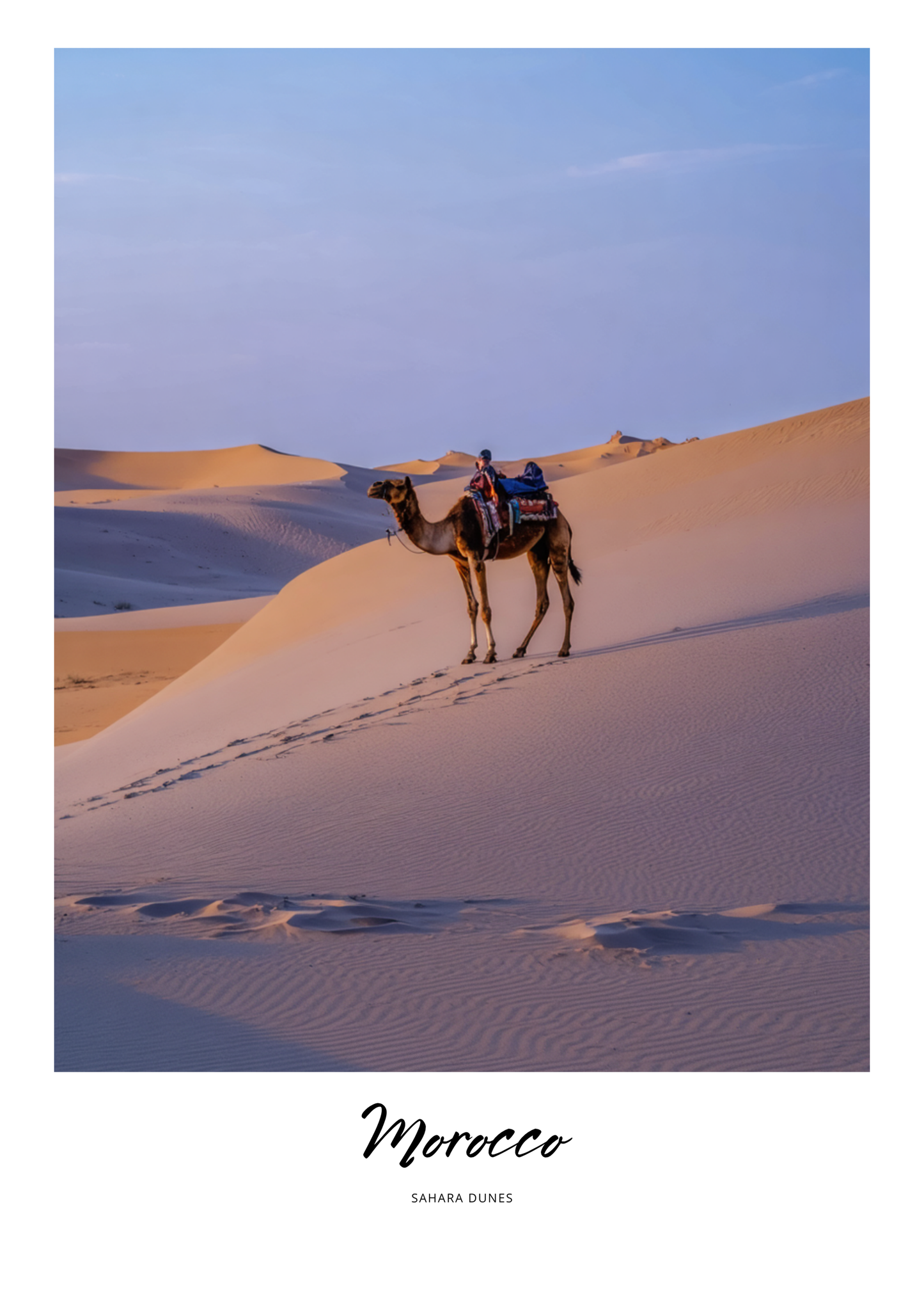 Camel with riders on sand dunes in Sahara Desert, Morocco