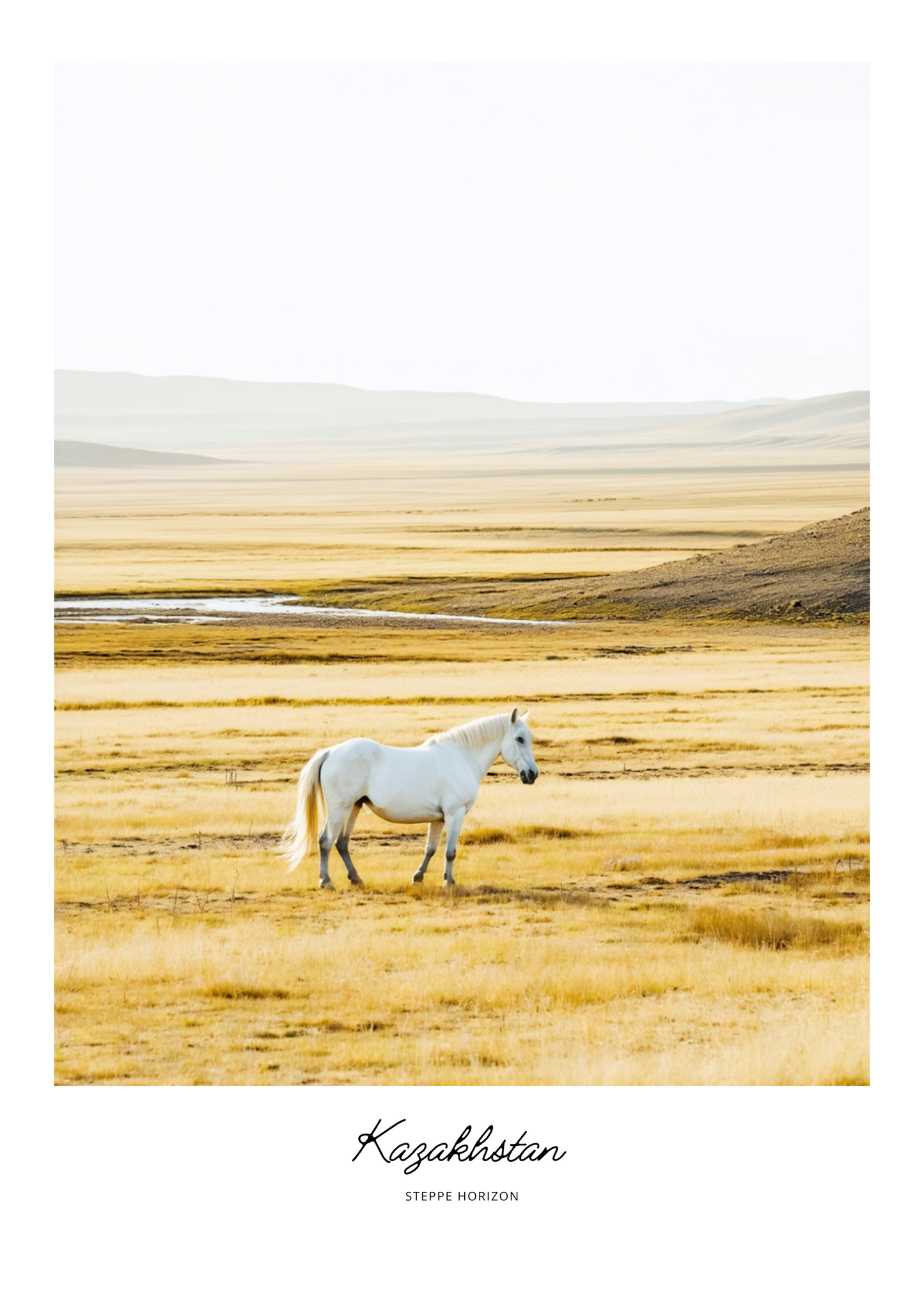 White horse standing in a vast, open landscape with a gradient sky.