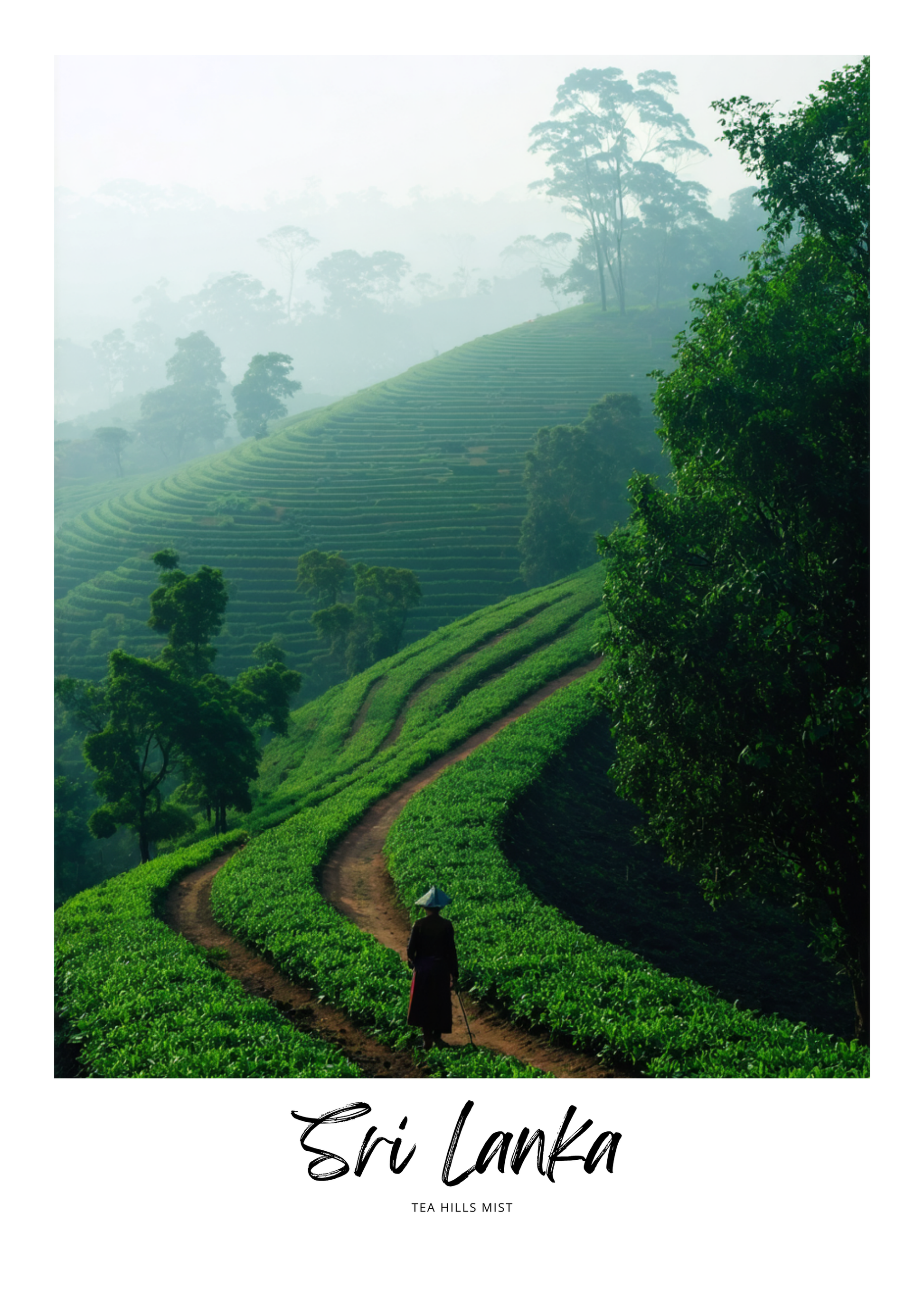 Person walking along a path on a misty tea plantation in Sri Lanka