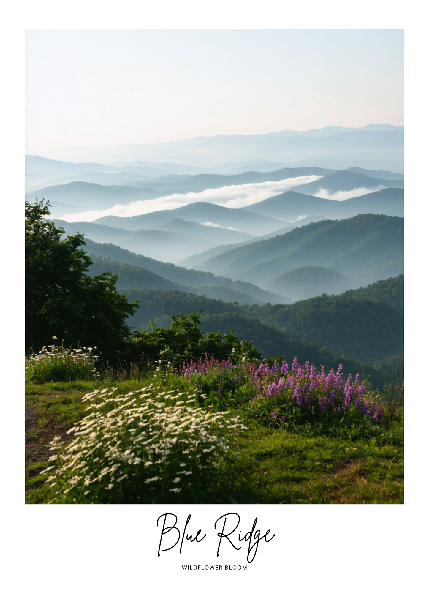Scenic view of mountains with wildflowers in the foreground, labeled 'Blue Ridge'.