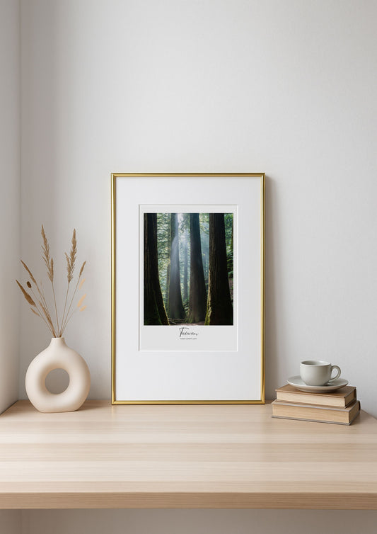 Framed print of a forest scene on a wooden shelf with decor items.