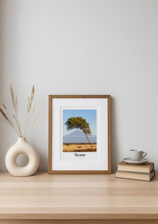 Framed print of a tree with 'Tanzania' text on a wooden shelf with decor items.