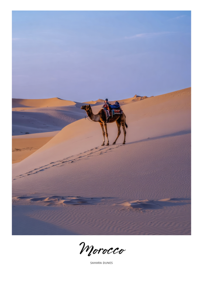 Camel with riders on sand dunes in Sahara Desert, Morocco