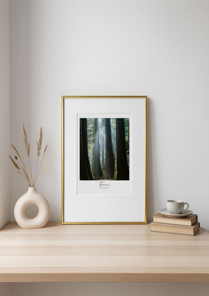 Framed print of a forest scene on a wooden shelf with decor items.